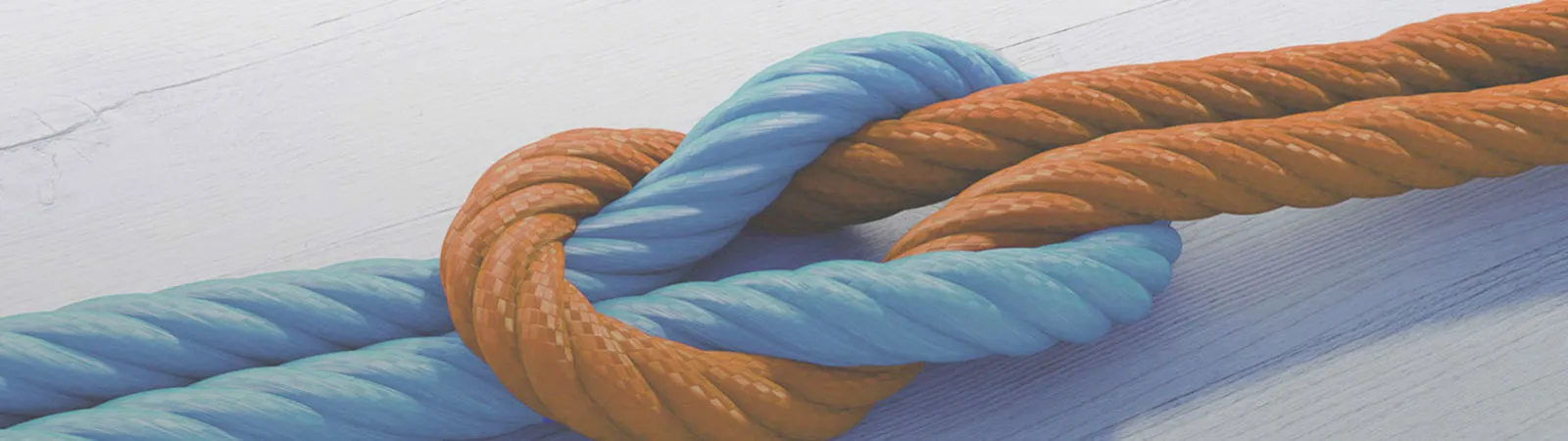 Salitaris - Banner Salitaris - Banner